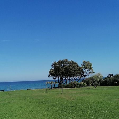Studio 4 Personnes Bord De Mer Avec Piscine Wifi セルヴィオーヌ エクステリア 写真